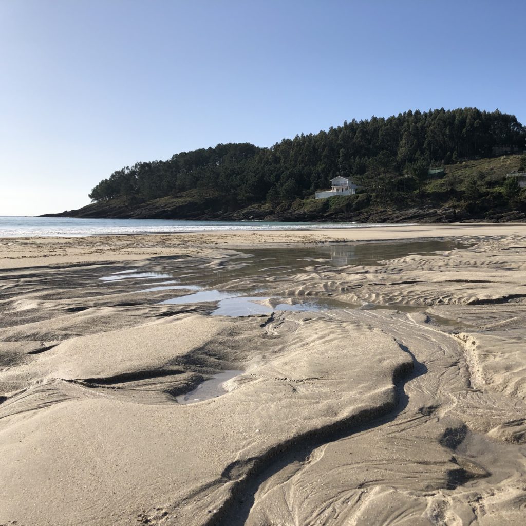 Imagen de la playa limpia, sin residuos humanos visibles