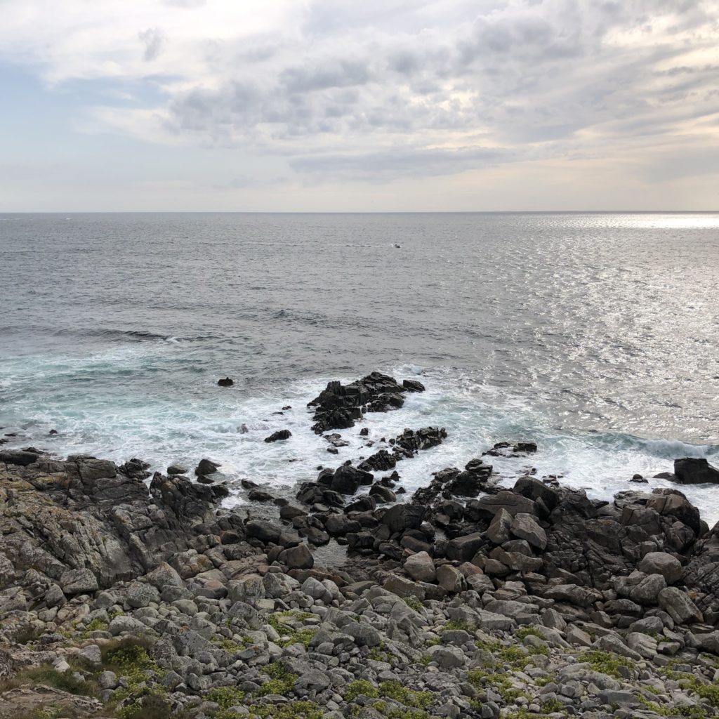 La costa del norte de Galicia sin marcas visibles de residuos humanos